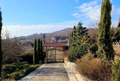 Casă cu 4 camere în Podgoria - 2