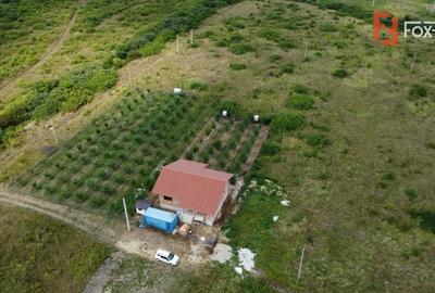 COMISION 0% Casa individuala cu 3 camere si teren de 752 mp -  Mosnita - 7