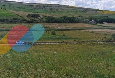 Teren intravilan 17400mp Campenesti - 1