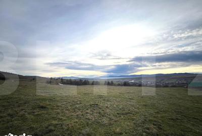 Teren de 8000 mp, în Ciurila - 2