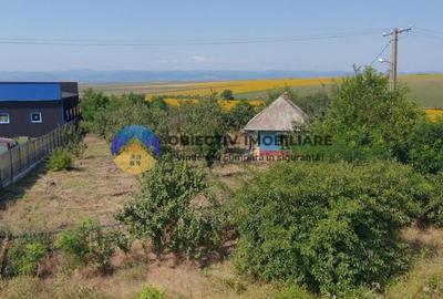 Teren de vanzare - Margineni 5920 mp - 6