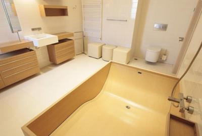 Vila individuala cu piscina Kiseleff pretabila rezidenta, ambasada - 6
