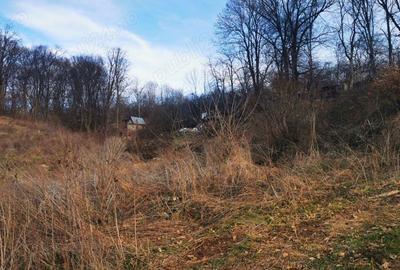 Teren de 600 mp, în Central - 4