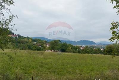 Teren de 2449 mp, în Poiana Angelescu - 4