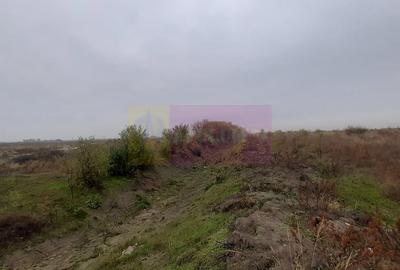 Teren în Corbeanca - 11