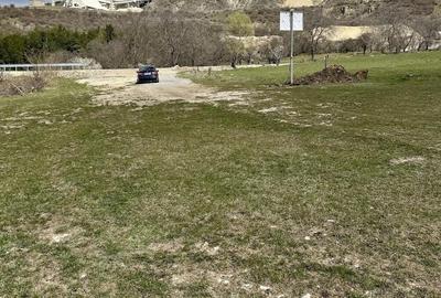 Teren de 10000 mp, în Valea Mare - 2