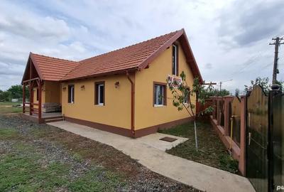 Casa noua in vinga - 10
