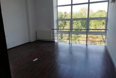 Vanzare cladire de  birouri in zona linistita - 5
