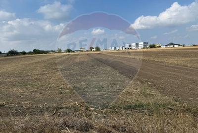 Teren Isalnita 400 mp - 6