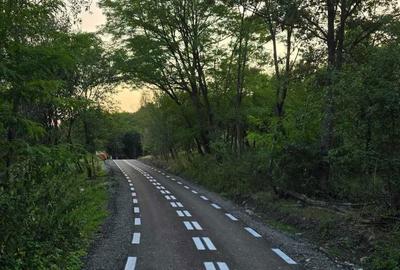 Teren de 7547 mp, în Ulieș - 5