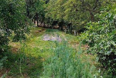 Casă cu 4 camere în Dobrogostea - 6