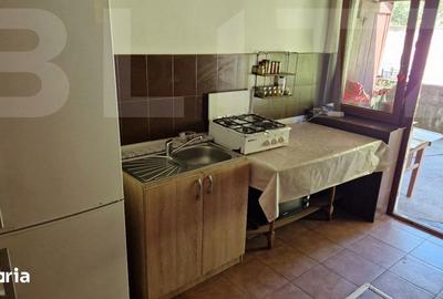 Casă cu 4 camere cu Teren 3166 Mp în Burjuc - 12