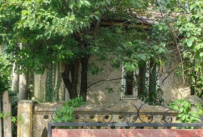 Teren de 2900 mp, în Putineiu - 8