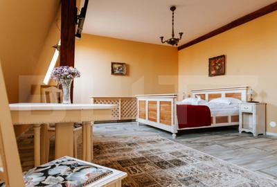 Conac de vanzare 7 camere cu bai proprii, crama, ciubar ? - 25