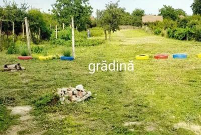 Casă în Bodrogu Nou - 6