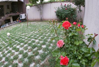 Vila S+P+1+pod vezi video - 2