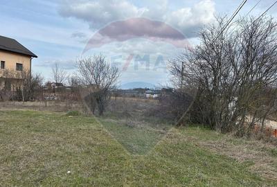 Teren Construcții intravilan de 700 mp, în Izvorani - 11