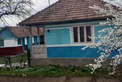 Casa de vanzare - 2