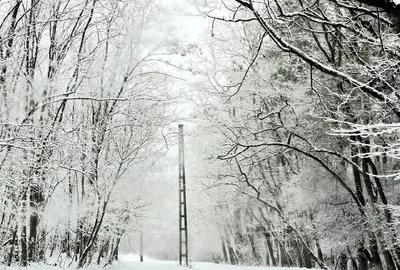 Teren de 12300 mp, în Grebănu - 2