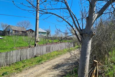 Teren de 5407 mp, în Valea Mică - 5