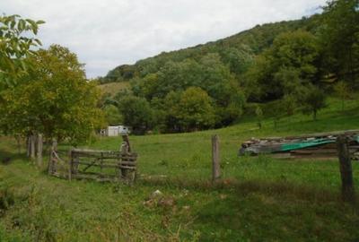 Teren extravilan-Loc. Roscani, comuna Dobra, judetul Hune... - 4