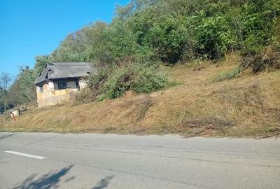 Casă cu 2 camere cu Teren 7000 Mp în Salatiu - 1