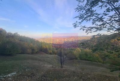 Teren de 3092 mp, în Telega - 7