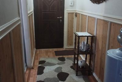 Apartament cu 2 camere semidecomandat în Prundu - 4