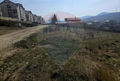 Teren Construcții intravilan de 2606 mp, în Calea Romanului - 3