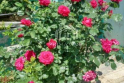 Casă cu Teren 500 Mp în Dorobanți