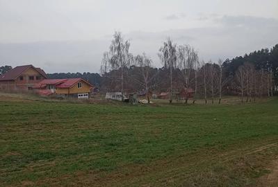 Spațiu comercial, în Reci - 9
