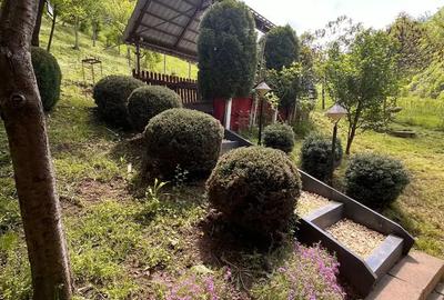 Casă cu 4 camere cu Teren 1500 Mp în Dobra - 1