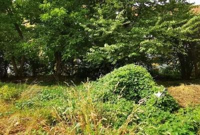 Teren Moroasa 1000 mp intravilan negociabil - 4