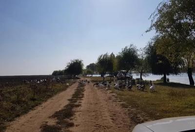 Teren în Vidra - 6