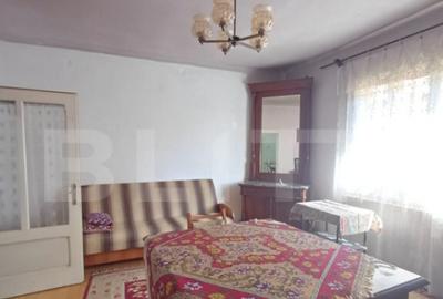 Casa renovabila, 3 camere, 1400 mp teren, in Mihai Viteazu - 22