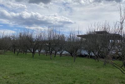 Teren în Pruni - 4