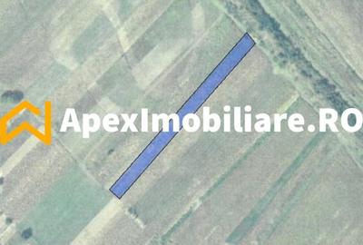 Teren Construcții intravilan de 2500 mp, în Joița - 2