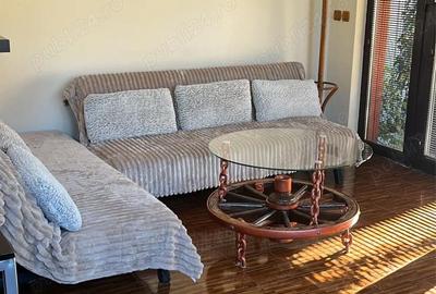 Casă cu Teren 270 Mp în Sânandrei - 5