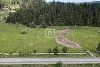 Teren intravilan 865 mp in Gura Humorului | Suceava | Bucovina - 4