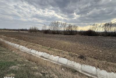 Teren de 3618 mp, în Central - 7