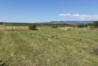 Casă cu 4 camere în Rușii-Munți - 1