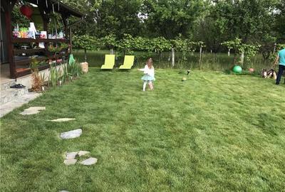 Casă cu 7 camere cu Teren 415 Mp în Găneasa - 1