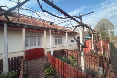 Casă individuală cu 3 camere cu Teren 1800 Mp în Bivolari - 5