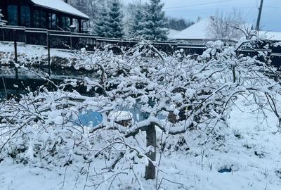 Casă cu 4 camere în Bran - 7