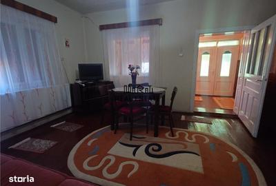 Casă cu 4 camere cu Teren 4977 Mp în Ribița - 6