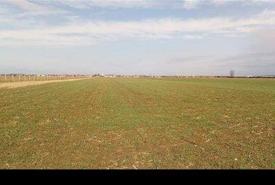 Teren de 2600 mp, în Sântion - 1