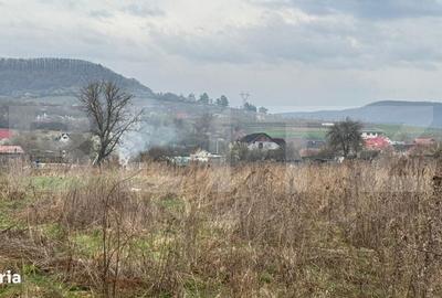 Spațiu comercial, în Cuzdrioara - 5