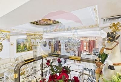 Casă individuală cu 8 camere cu Piscina în Matei Voievod - 28