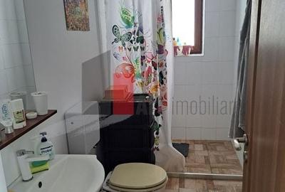 Casa individuala Valu lu Traian - teren mare 1000 mp - 15