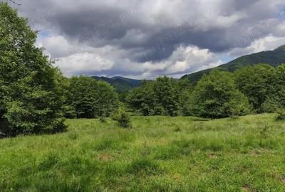 Teren de 2750 mp, în Slatina - 8